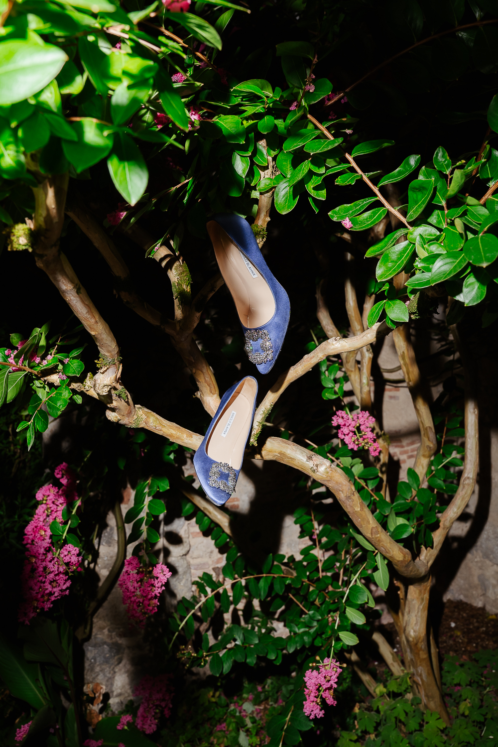A pair of sapphire blue Manolo Blahnik heels displayed among flowering branches, creating an artistic bridal details photograph that blends luxury accessories with the château gardens.
